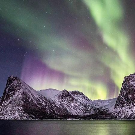 Senja Living Aparthotel Stonglandseidet Exteriör bild