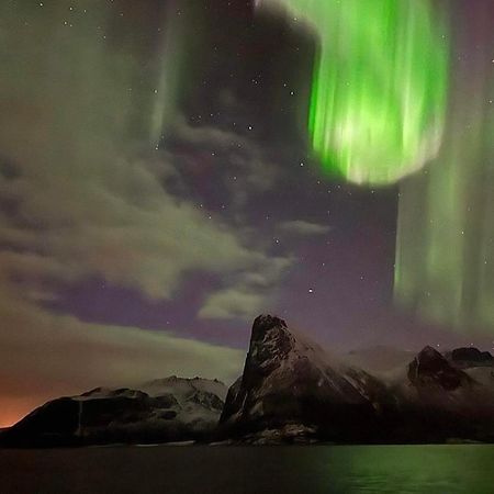 Senja Living Aparthotel Stonglandseidet Exteriör bild