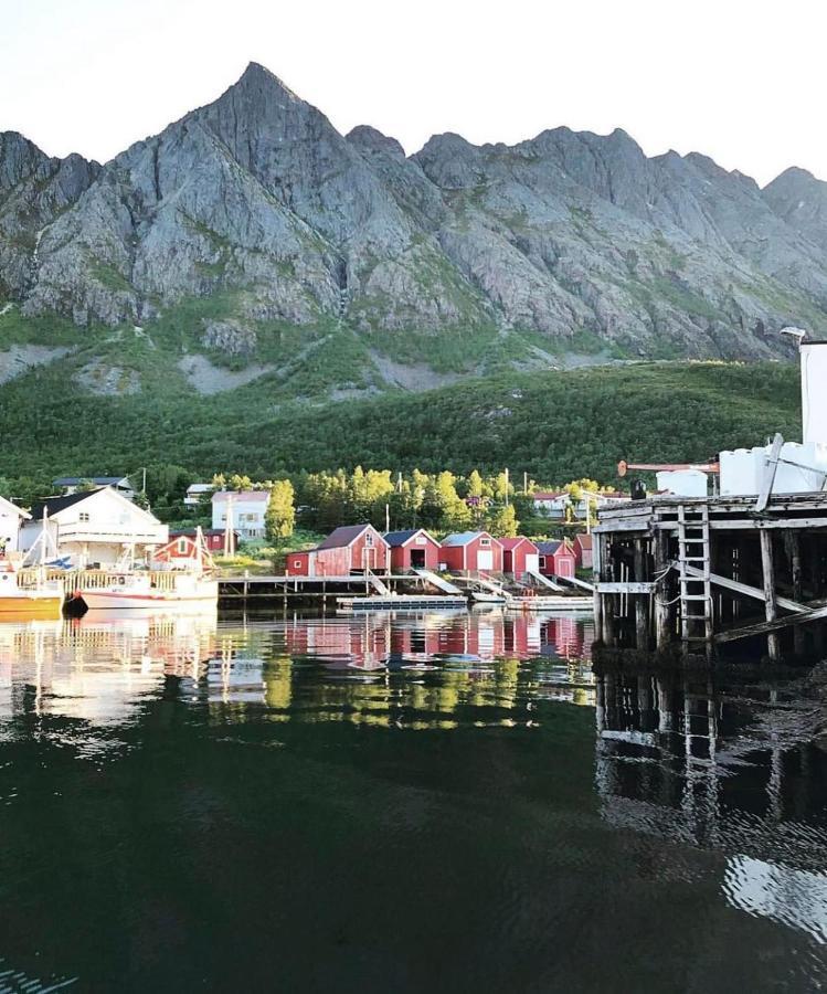 Senja Living Aparthotel Stonglandseidet Exteriör bild