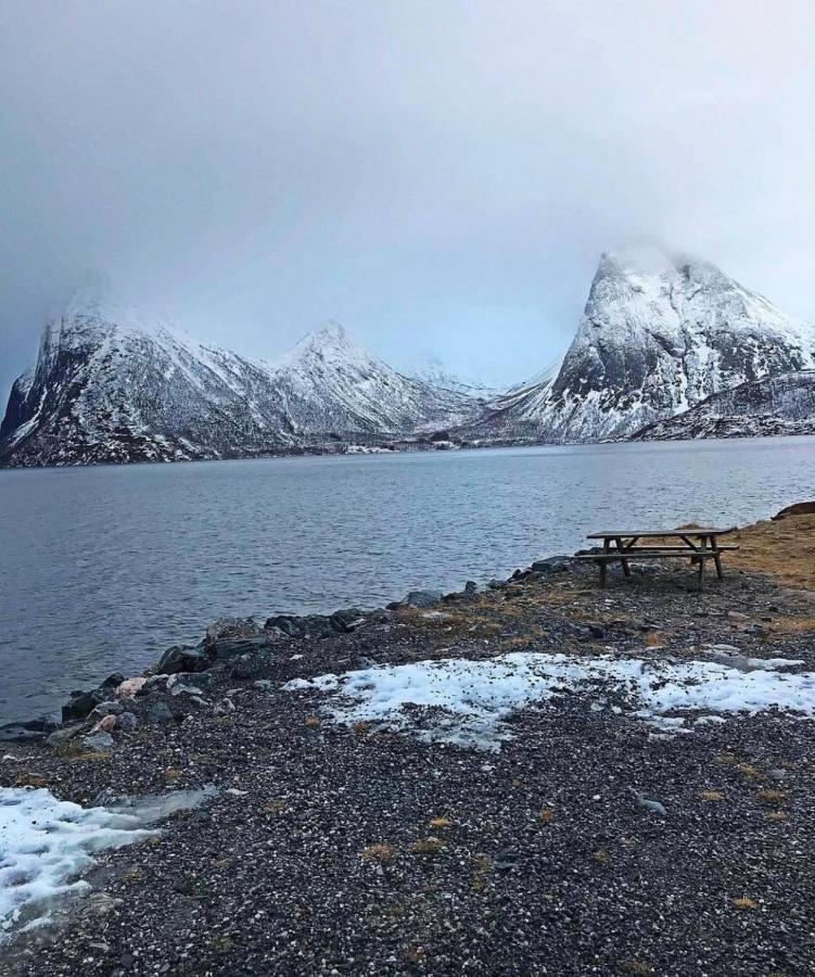 Senja Living Aparthotel Stonglandseidet Exteriör bild
