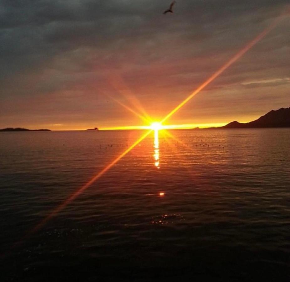 Senja Living Aparthotel Stonglandseidet Exteriör bild