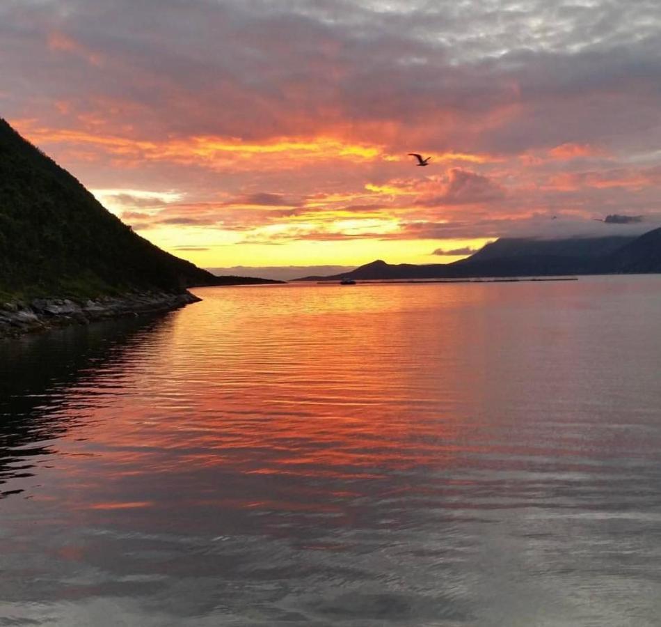Senja Living Aparthotel Stonglandseidet Exteriör bild