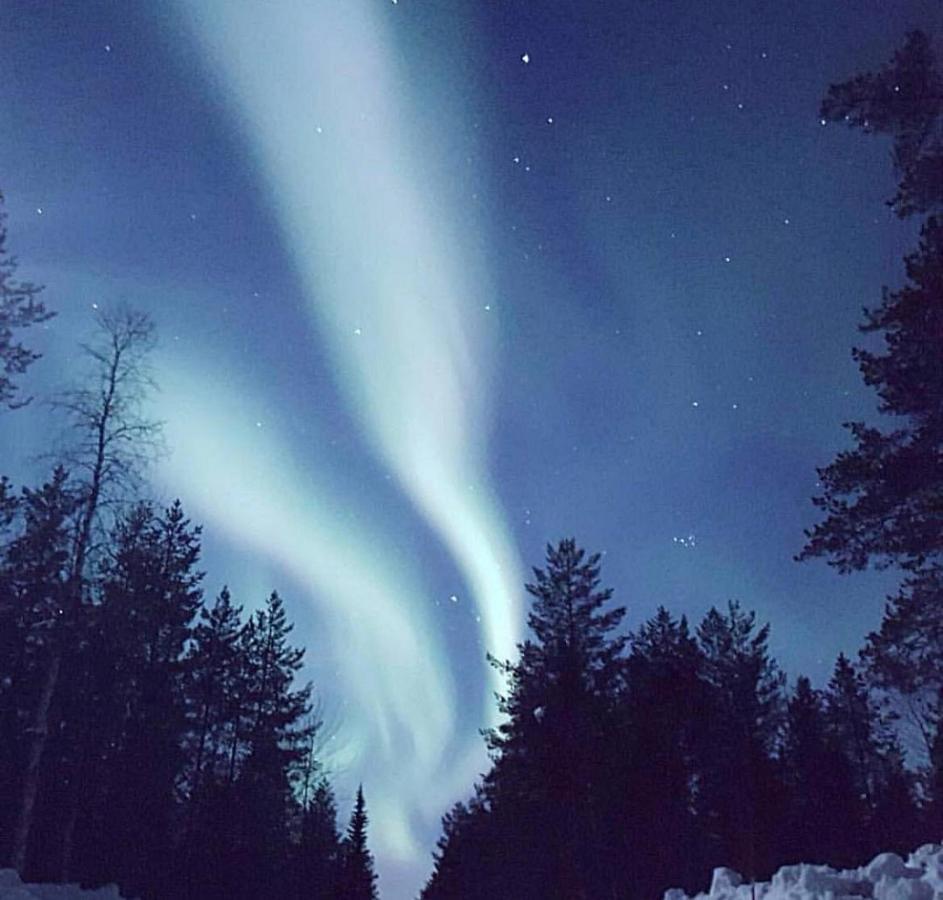 Senja Living Aparthotel Stonglandseidet Exteriör bild