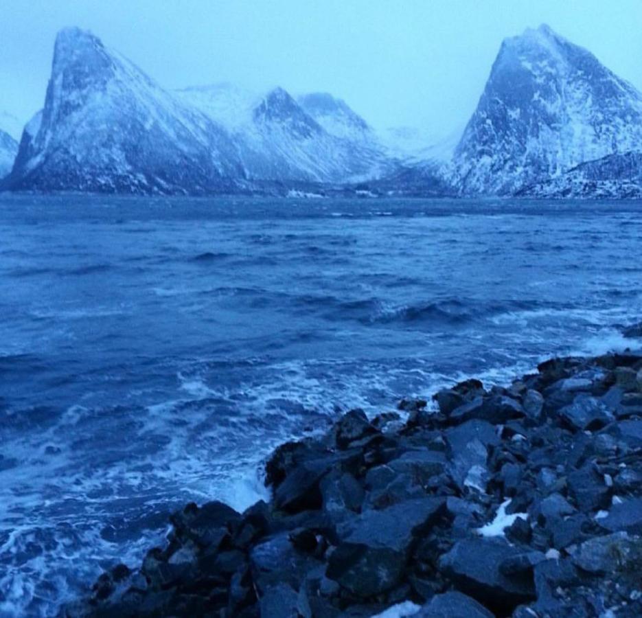 Senja Living Aparthotel Stonglandseidet Exteriör bild