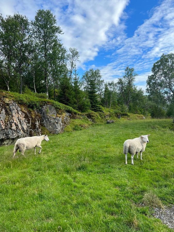Senja Living Aparthotel Stonglandseidet Exteriör bild