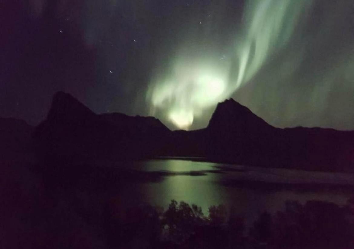 Senja Living Aparthotel Stonglandseidet Exteriör bild