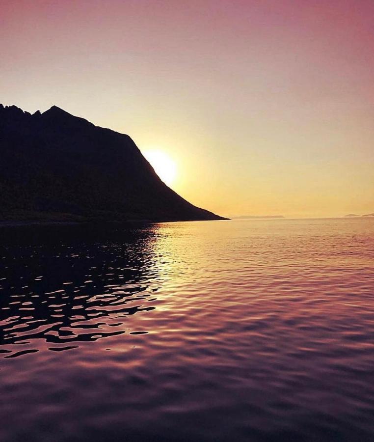 Senja Living Aparthotel Stonglandseidet Exteriör bild