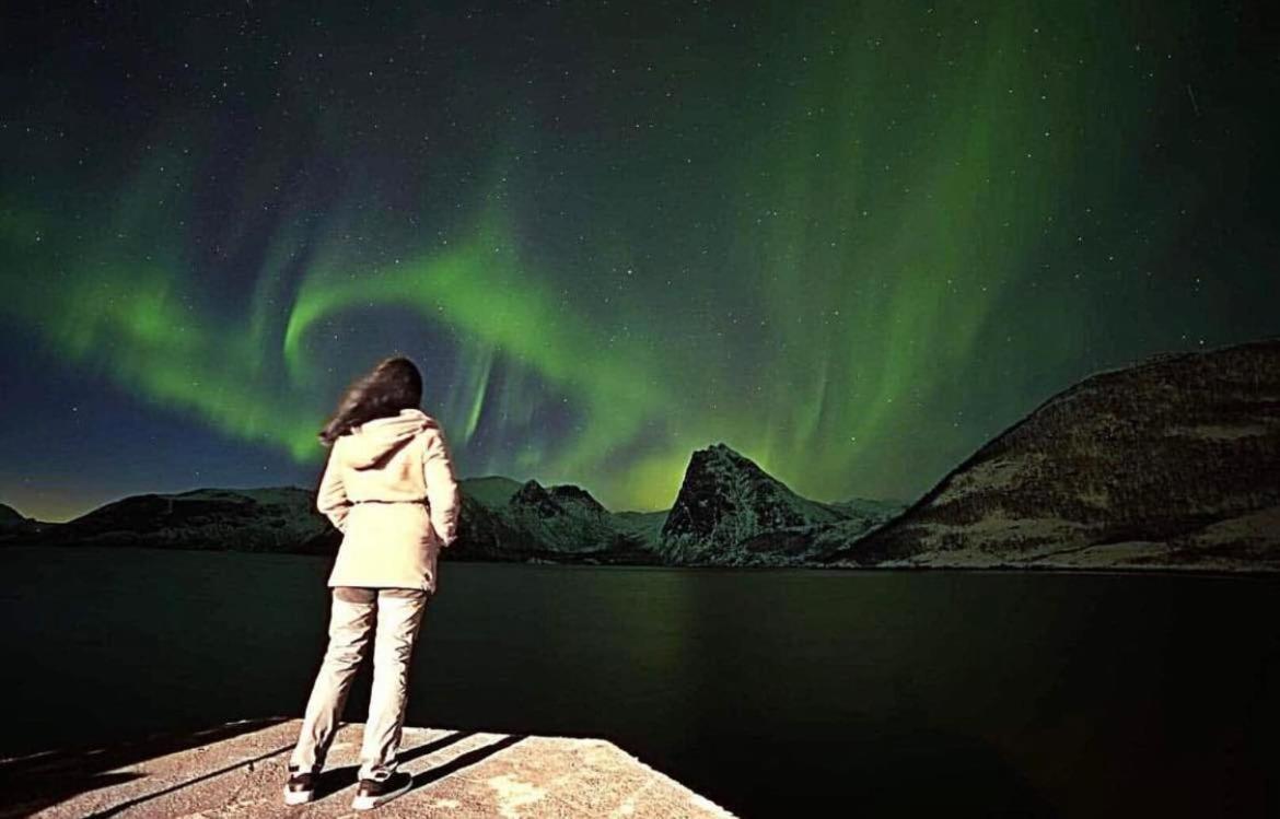 Senja Living Aparthotel Stonglandseidet Exteriör bild