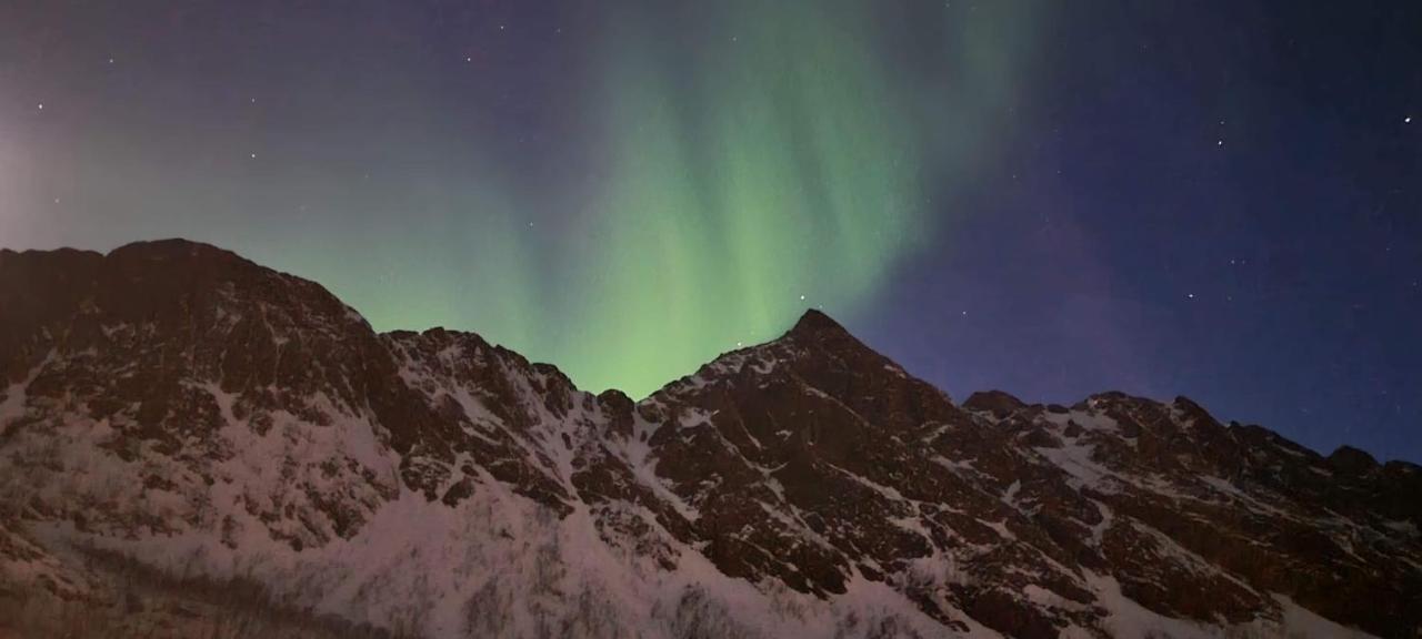 Senja Living Aparthotel Stonglandseidet Exteriör bild