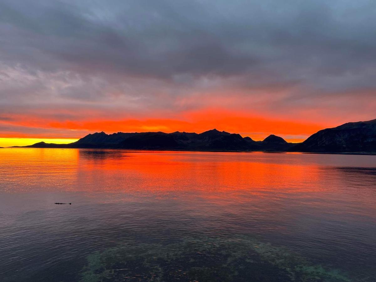 Senja Living Aparthotel Stonglandseidet Exteriör bild