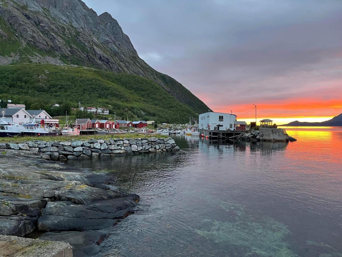 Senja Living Aparthotel Stonglandseidet Exteriör bild