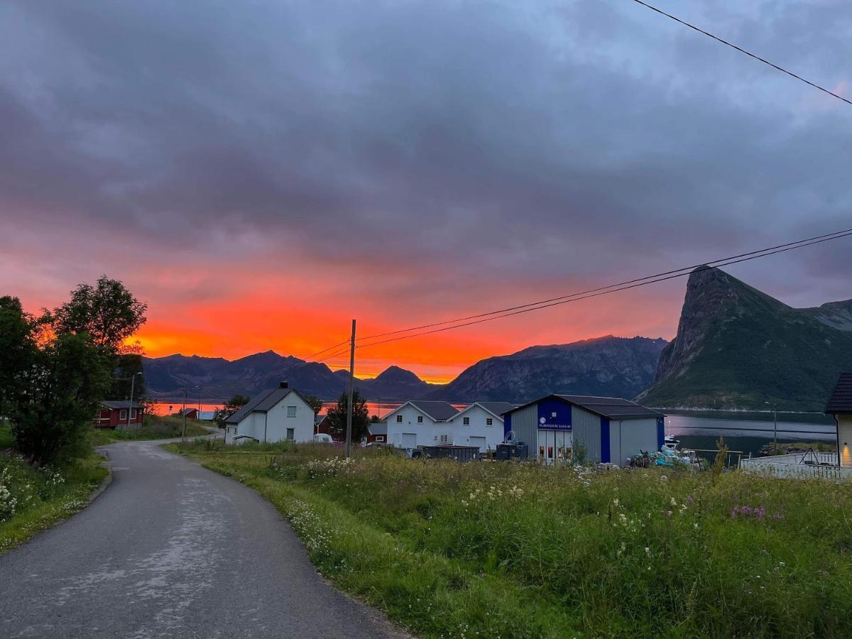 Senja Living Aparthotel Stonglandseidet Exteriör bild