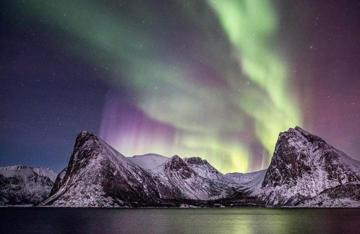Senja Living Aparthotel Stonglandseidet Exteriör bild
