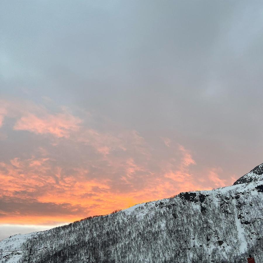 Senja Living Aparthotel Stonglandseidet Exteriör bild