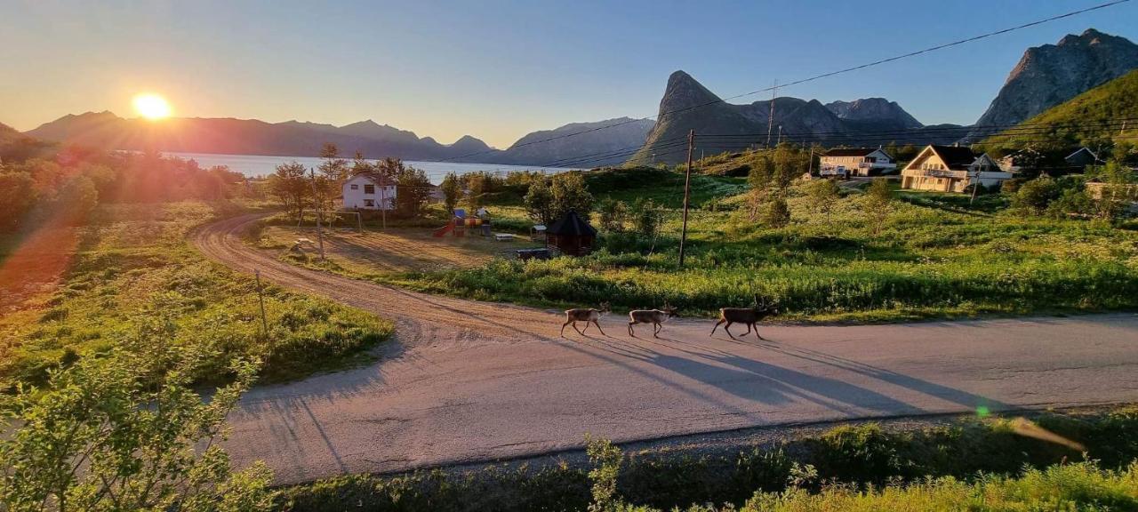 Senja Living Aparthotel Stonglandseidet Exteriör bild
