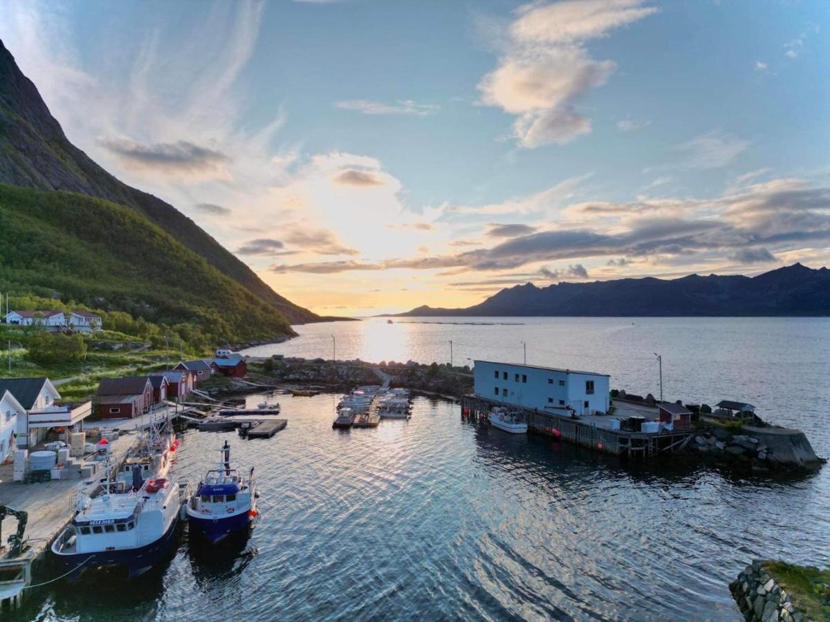 Senja Living Aparthotel Stonglandseidet Exteriör bild
