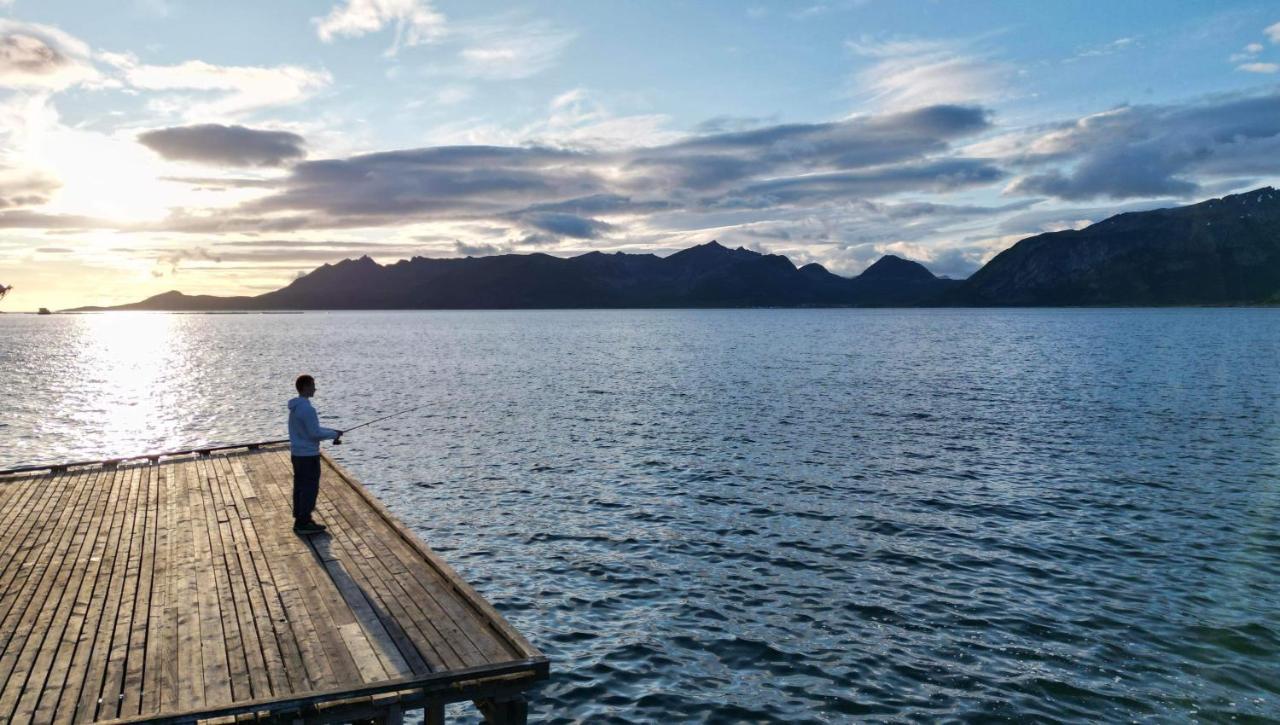 Senja Living Aparthotel Stonglandseidet Exteriör bild