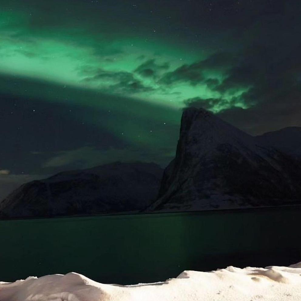 Senja Living Aparthotel Stonglandseidet Exteriör bild