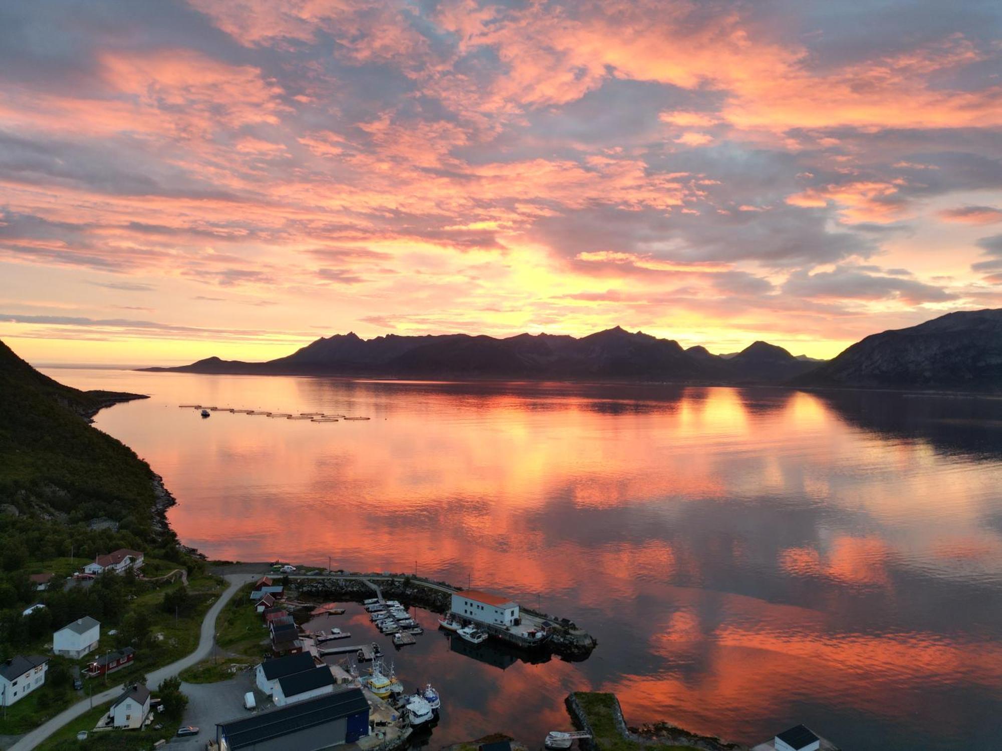 Senja Living Aparthotel Stonglandseidet Exteriör bild